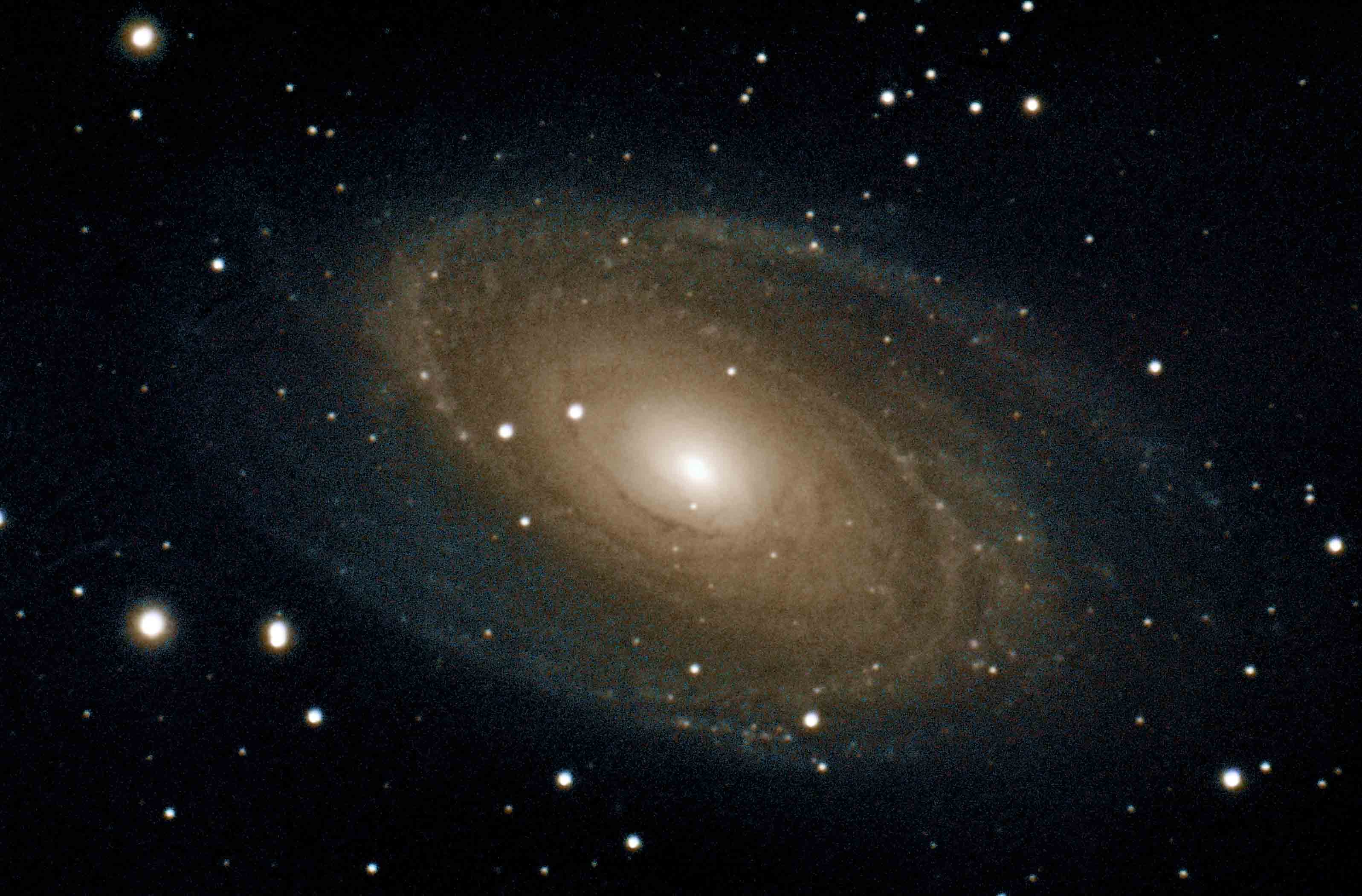 M81