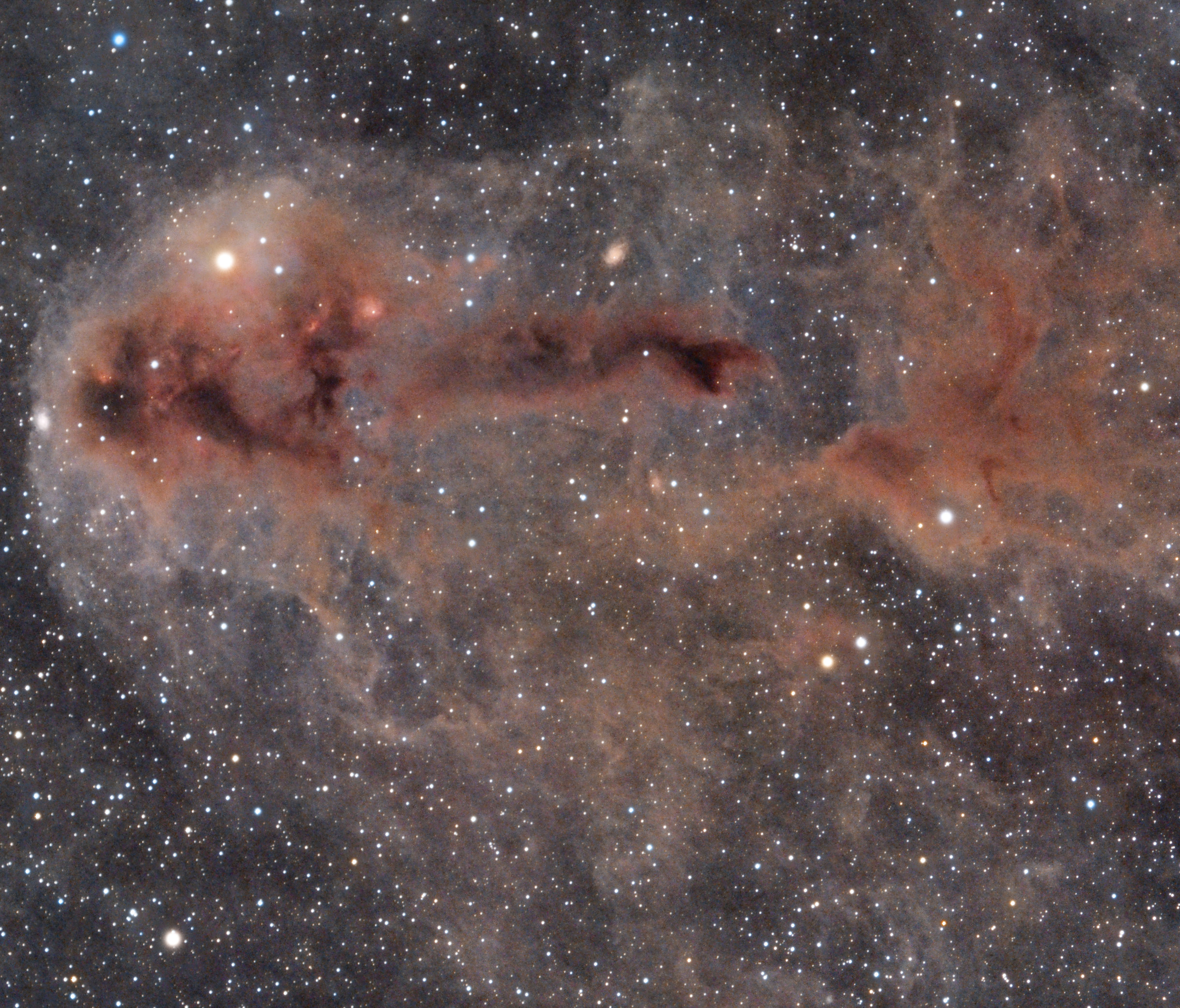 LDN1251 - The Rotten Fish nebula