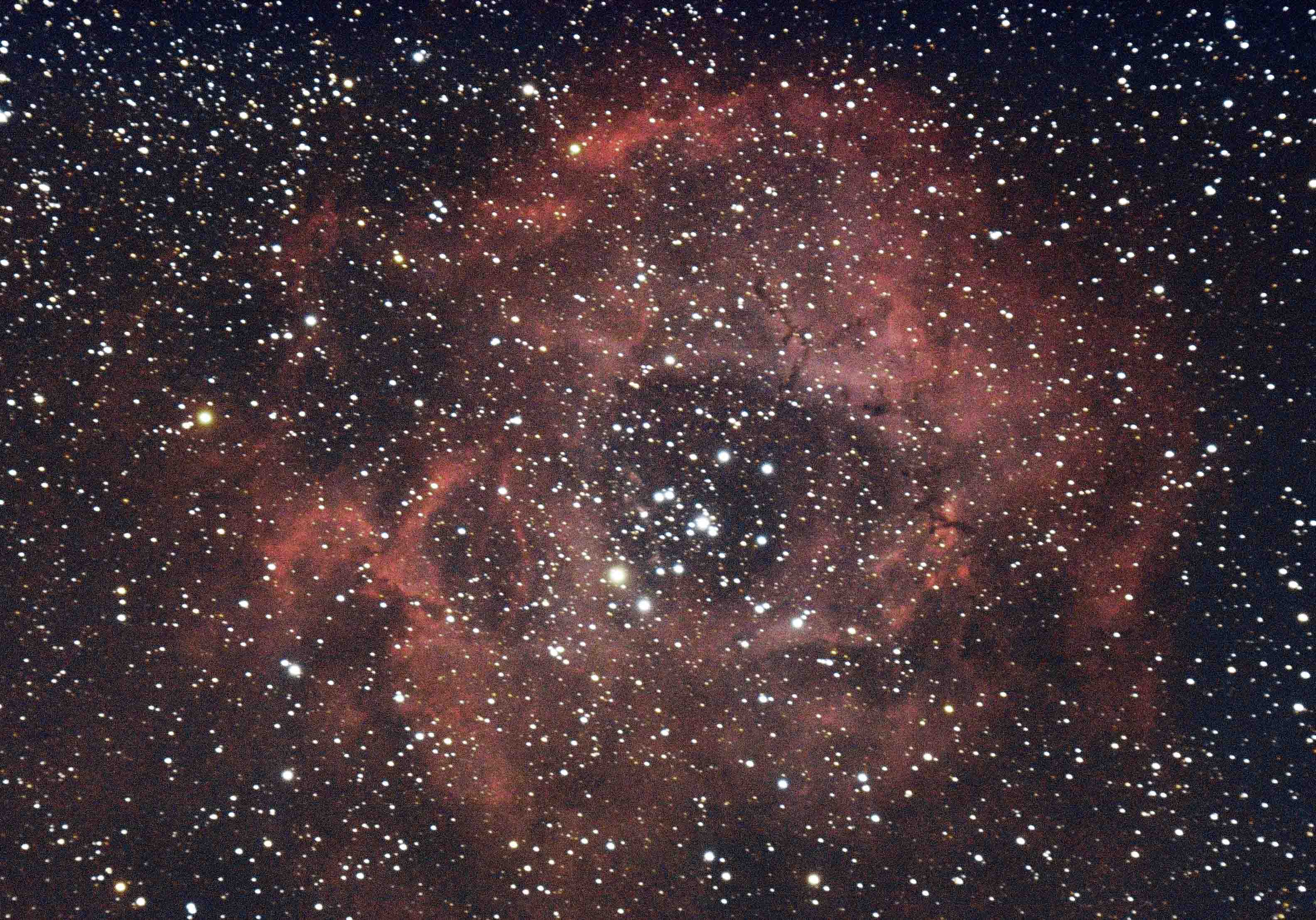 The Rosette nebula