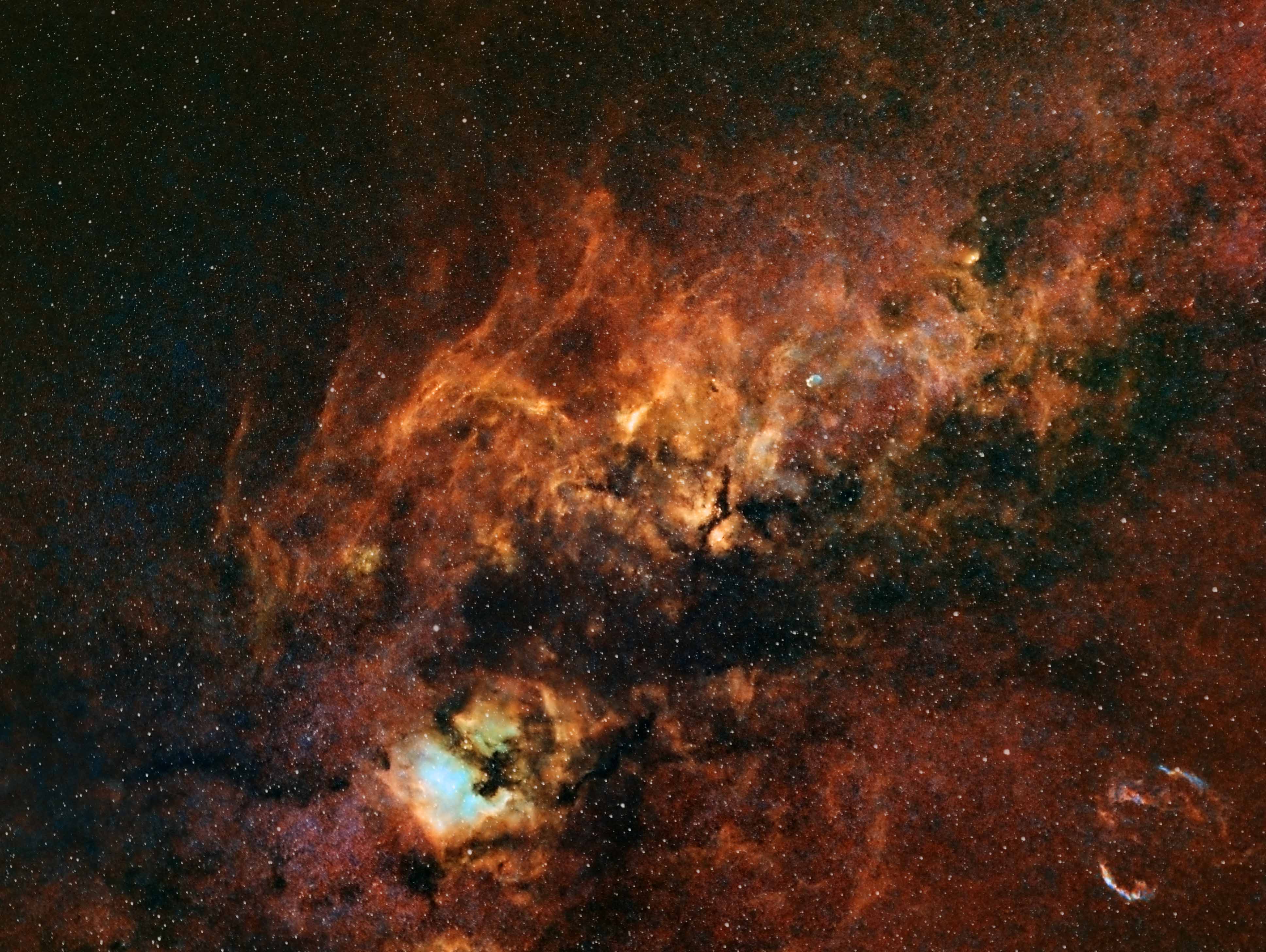 Cygnus in SHO (Hubble palette)
