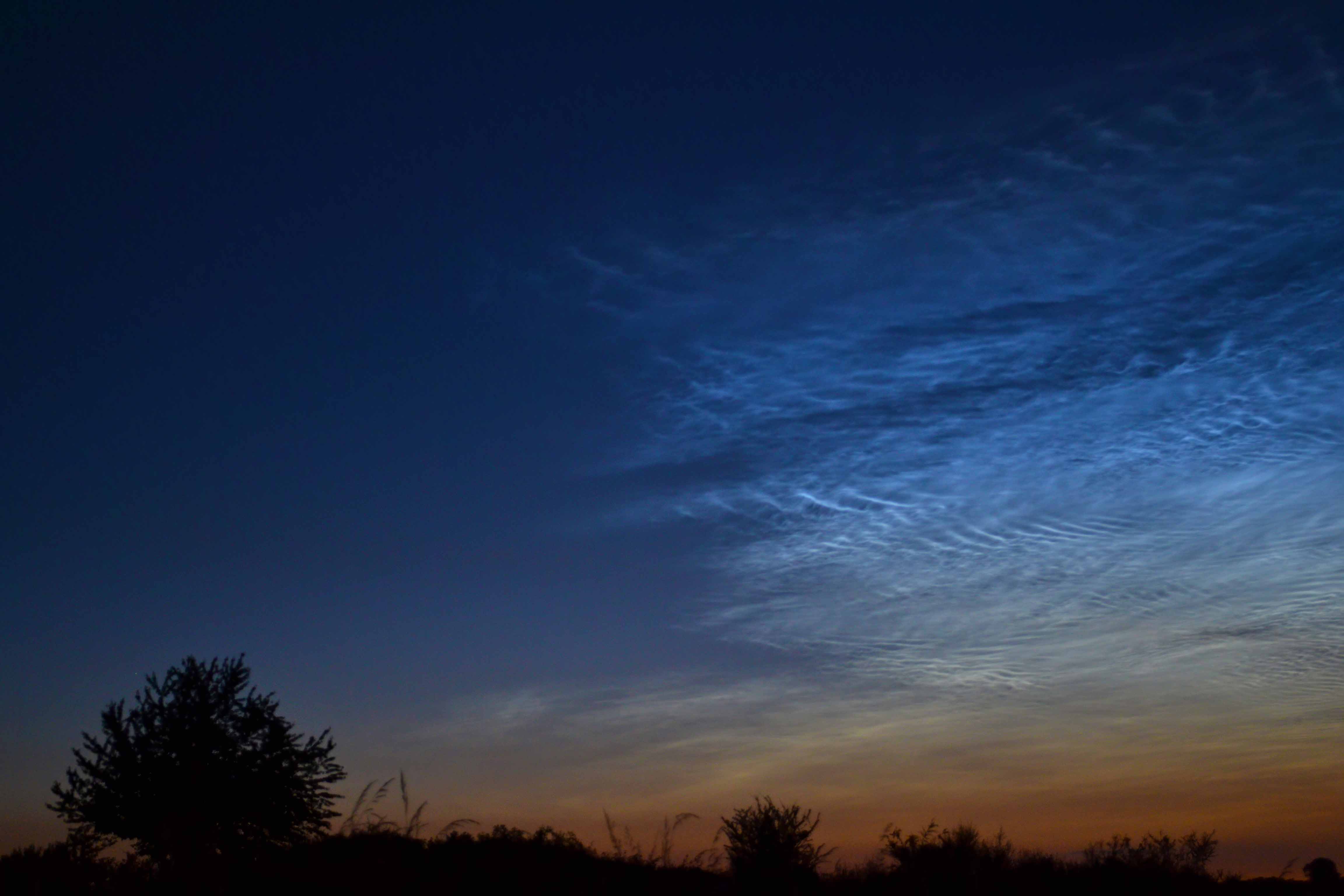 Noctulescent clouds